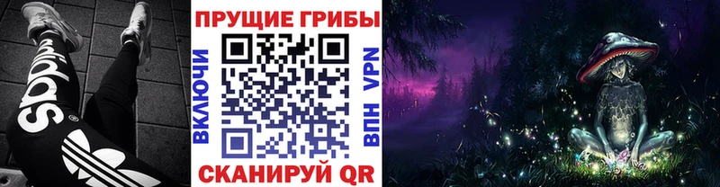 где можно купить   Аксай  ОМГ ОМГ ссылка  Псилоцибиновые грибы мицелий 