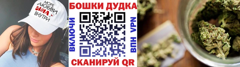 Бошки Шишки семена  закладки  Аксай 